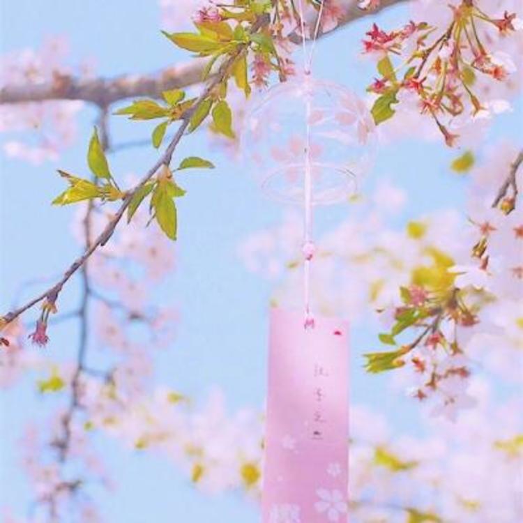 会津（高荷惠的故乡） - 悬疑剧集完整在线观看 - 电脑看视频